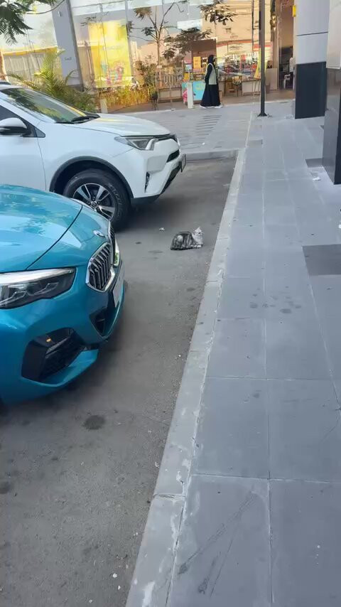 IWOn3qLm34n5ep s.jpg