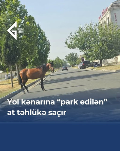 518077124 771563035222713 7067157648156150580 n.jpg?stp=dst jpg s640x640 tt6& nc cat=103&ccb=1 7& nc.jpg