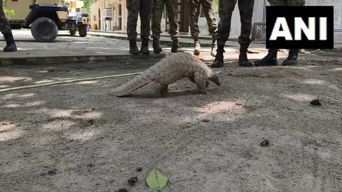 LGjbesd9DTZj dtH.jpg