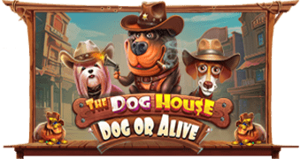 The Dog House - Dog or Alive