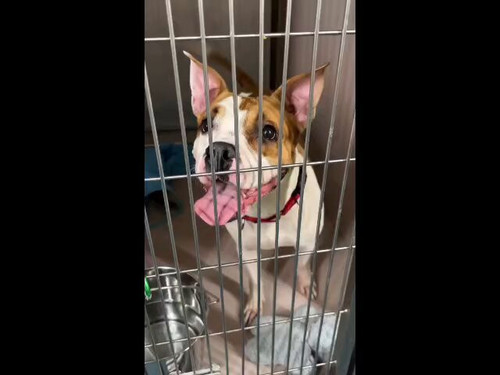 q rrp9OZqwFHKLfc.jpg