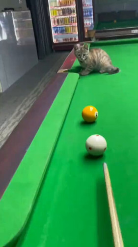 VwAG4yVdLzjgZ bH.jpg