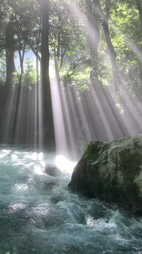 kRXd p4LOfuskboA.jpg