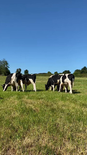 oP MbpR2i997DXG1.jpg