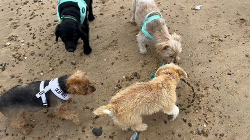 VpuVQ b6EcD9xxpR.jpg