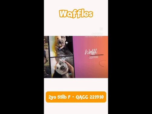 oeS3 4nvg95mFA1O.jpg