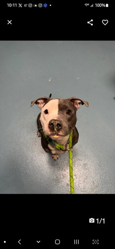 GmFn 14XUAAp A2?format=jpg.jpg