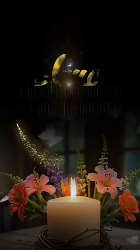 5vQULwtWFUtU p r.jpg