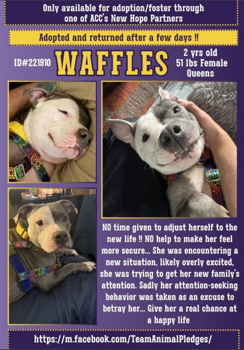 GraJMiDaQAA5 H5?format=jpg.jpg