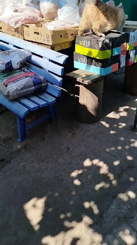 bl9vo8UN6w eKniy.jpg