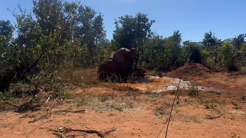 cpq43BWw XJeF7jp.jpg