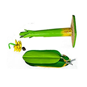 5135wR0expL. SX425 .jpg