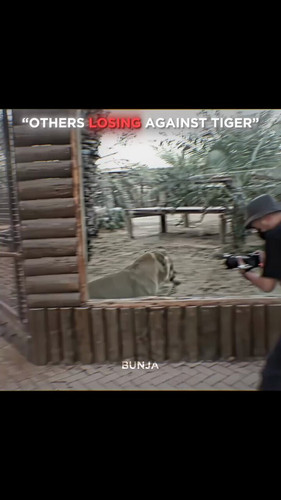 8t vahVlzGZ4XnTe.jpg