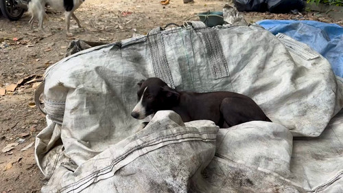 bySU7y5 GBIIGvUg.jpg