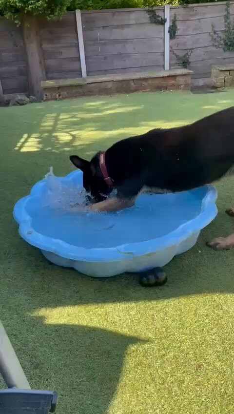 tImaOMThCiB zV1g.jpg