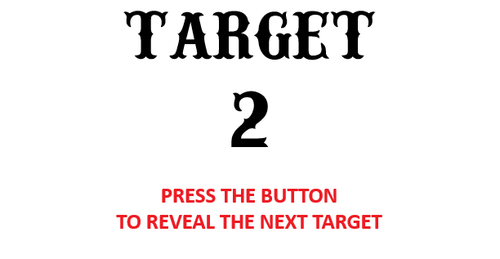 Target number 2 blank.png