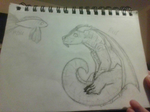 IMG 20201119 192818.jpg