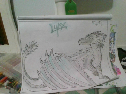 IMG 20201104 070848.jpg