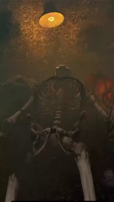  B0rDRoaKxN PIjd.jpg