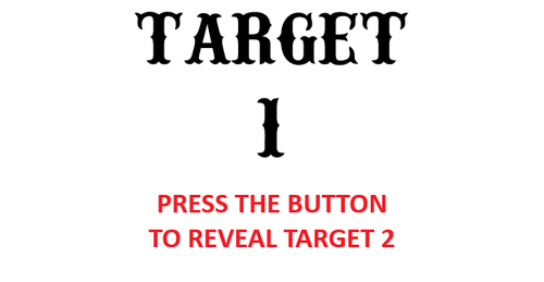 Target number 2 blank.png