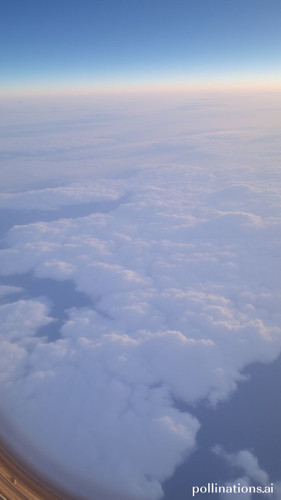 b1ea00748fa0.jpg