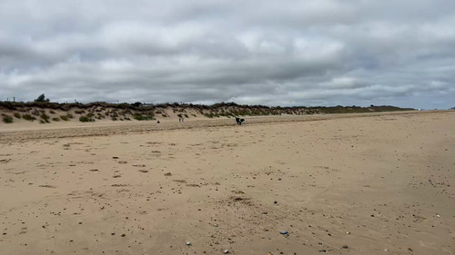 YyZRIvEWwtXl9dt .jpg