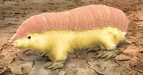 Capture+ 2025 07 12 10 50 00.png