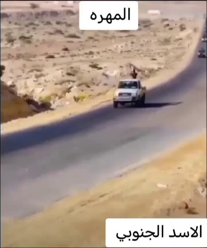 REia5r0nFR0vqaeH.jpg