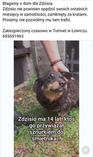 GviBkgyWQAAxYJu.jpg