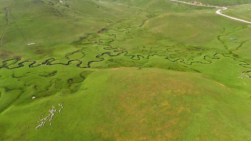 WvIN AnQSbl16CKQ.jpg