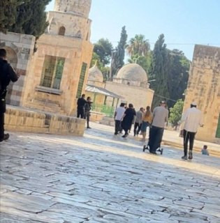 🟨جانب من اقتحام قطعان المستوطنين  المسجد الأقصى المبارك بحماية من قوات الاحت.لال....