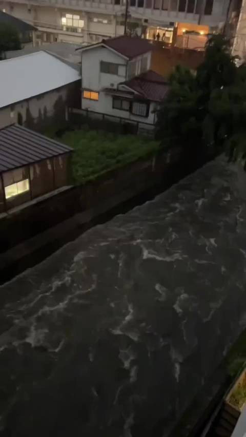 f91f8118f1d3.jpg