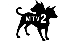 MTV2 logo 2013.svg.png