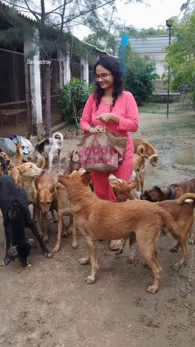 6JEkr zyJWQLGhJs.jpg