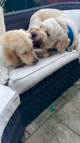 nh8gpk xJ eibjv9.jpg