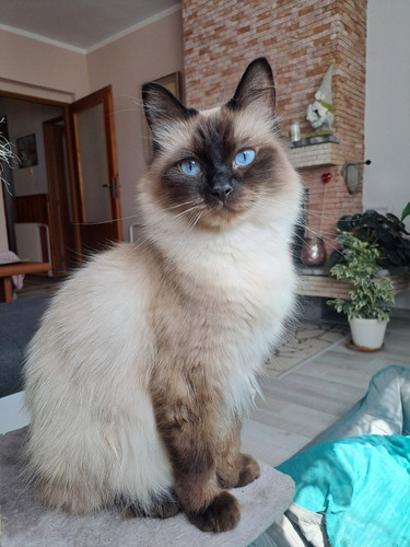 516606930 24193154496968111 6317442588092753221 n.jpg