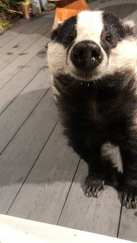 B Z3nvCDSPFtzEGX.jpg