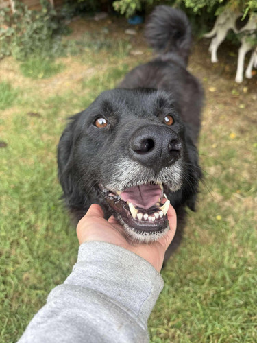 GuZMFgMXMAAu n8?format=jpg.jpg