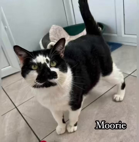 1HWDfL5FqZJk x8i.jpg