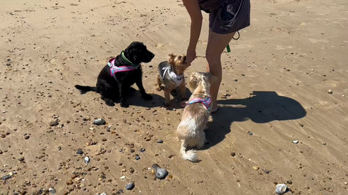 C 9YZJskv0v8oHF .jpg