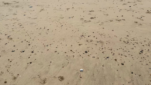 NlvO Y783GUhdYJO.jpg