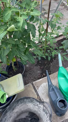 OYIS0LDqH6R8tQ w.jpg