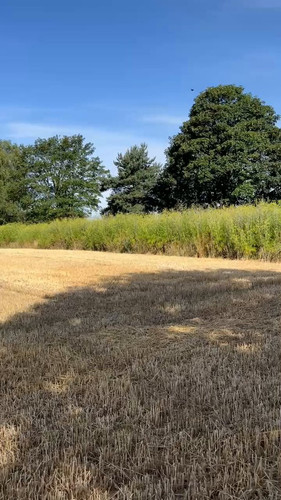 RDAuUnsYTtH9ye6 .jpg