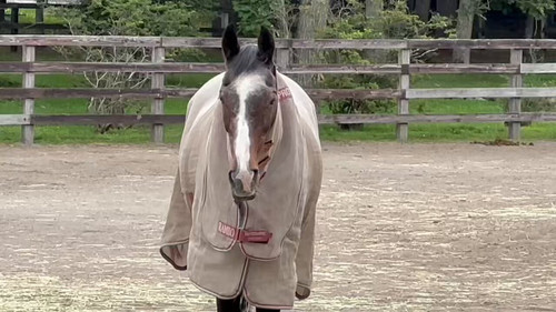 oYnO skuptzHaDM7.jpg