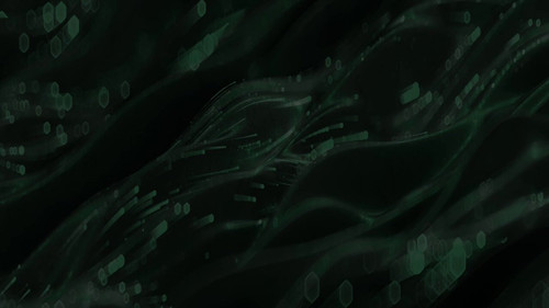 SSyYaRxwMkRdp zo.jpg