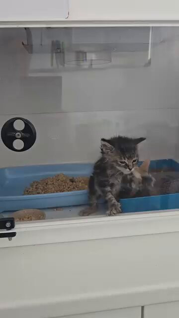 b1et8aaTxq R9sSW.jpg