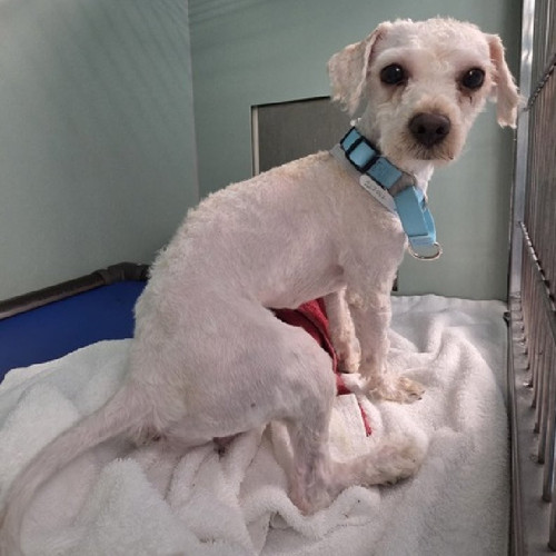 Gu CXByakAAUUWc?format=jpg.jpg