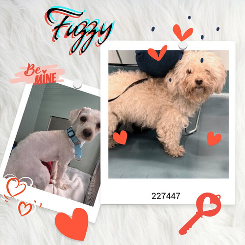 GvCZ 1YXgAAKniz?format=jpg.jpg