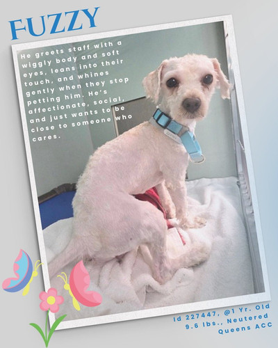 Gu ejGlXwAEJlUS?format=jpg.jpg