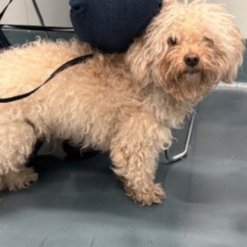 Gu CU4mb0AAQtxA?format=jpg.jpg